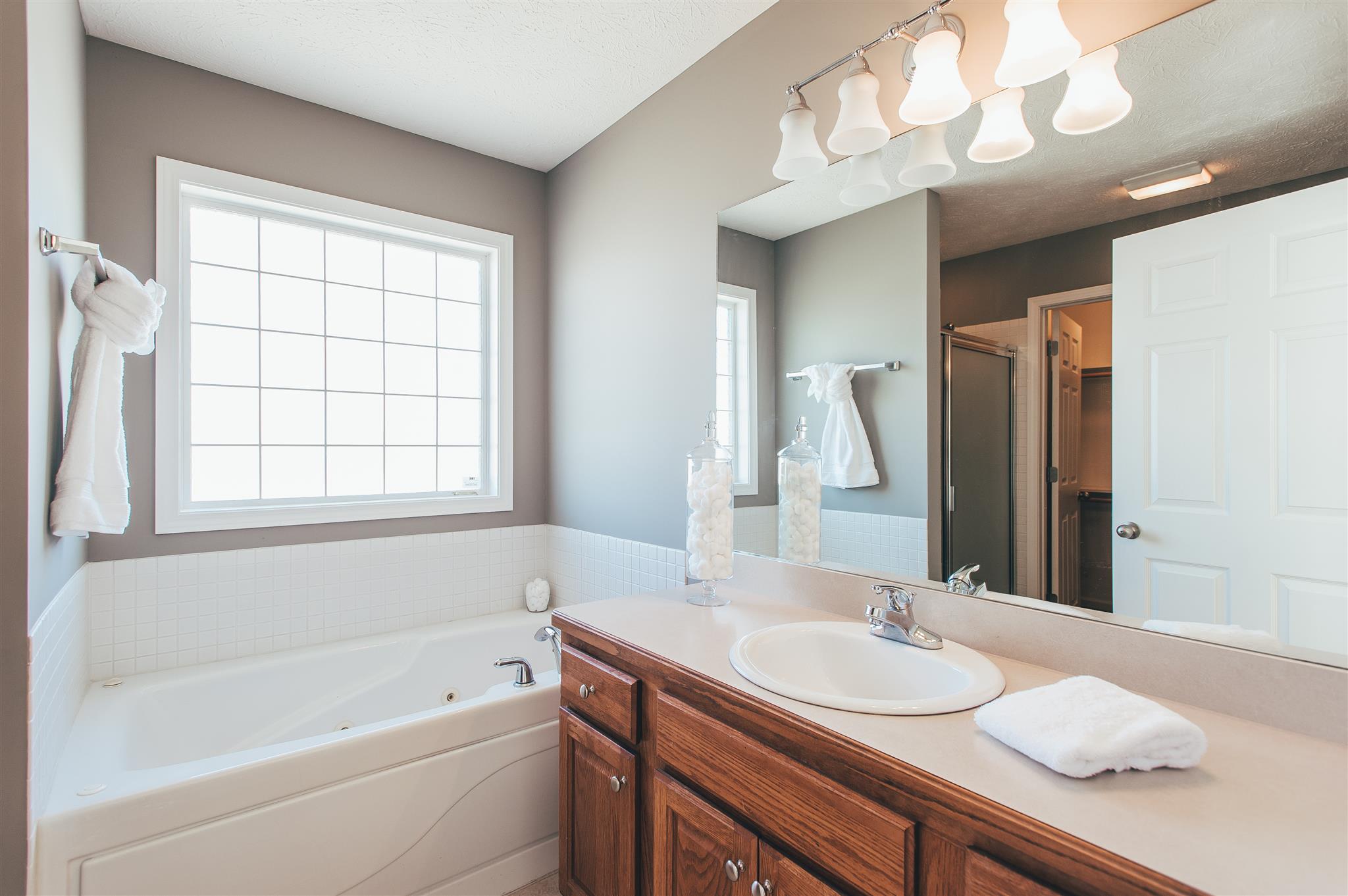 407 Arabian Lane Springfield, TN 37172 - Photo 20 of 26 Wonderful natural light in master bath