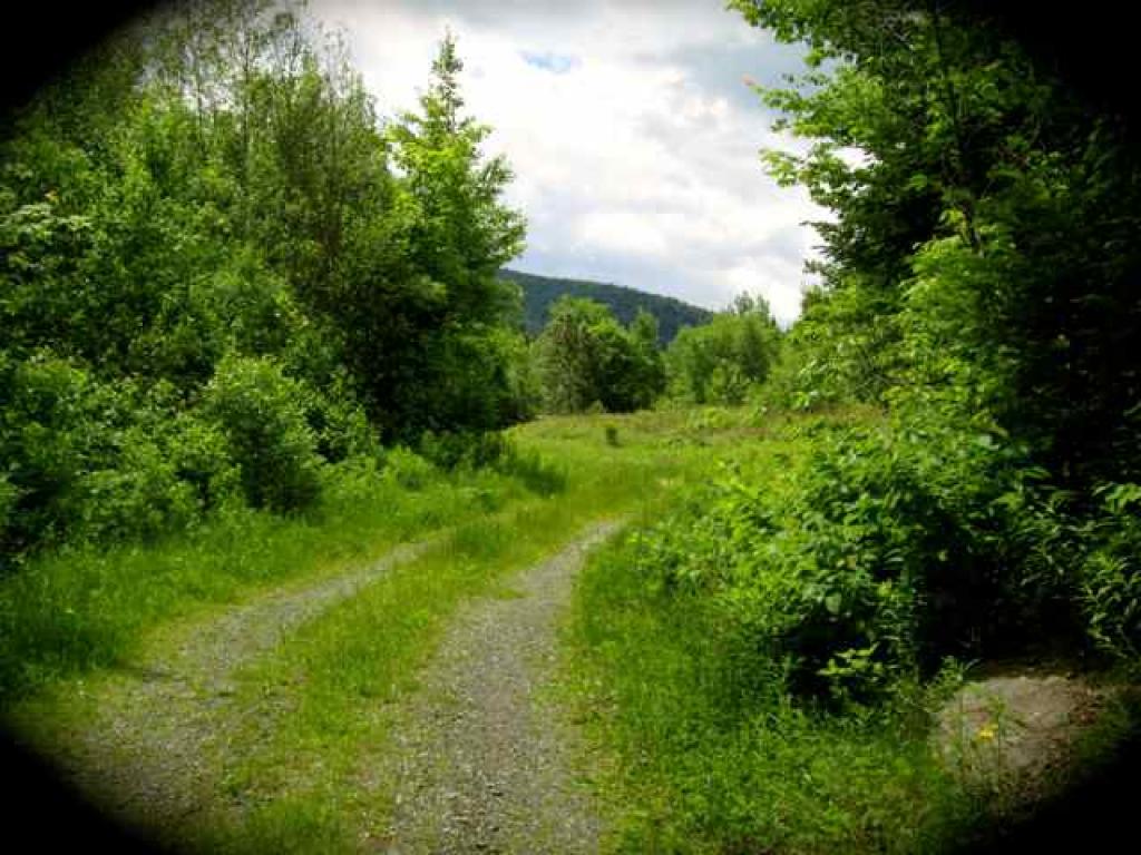 Lot 47 Fish Pond Road Colebrook, NH 03576 - Photo 1 of 9