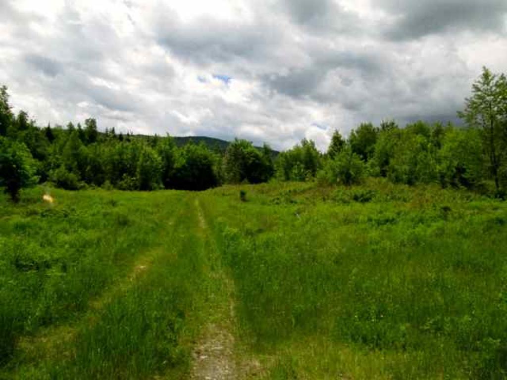 Lot 47 Fish Pond Road Colebrook, NH 03576 - Photo 3 of 9
