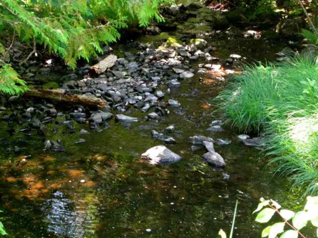 Lot 47 Fish Pond Road Colebrook, NH 03576 - Photo 5 of 9