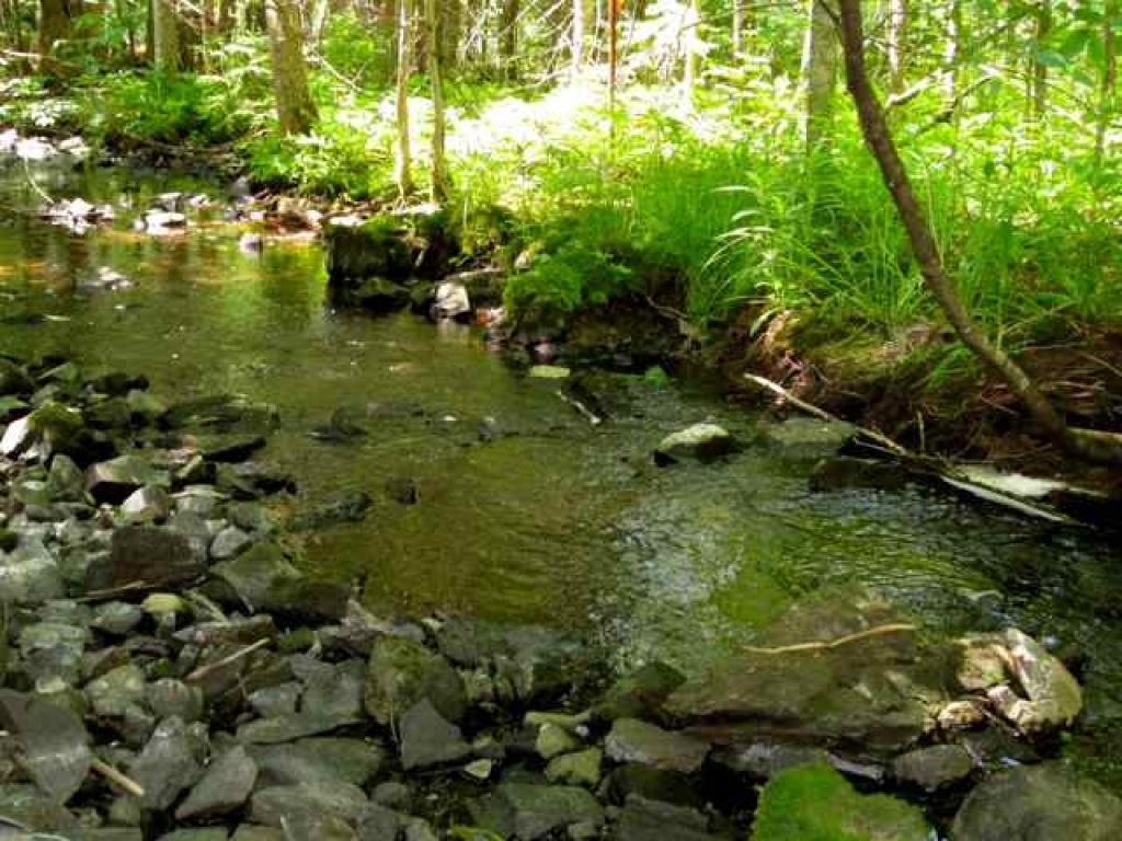 Lot 47 Fish Pond Road Colebrook, NH 03576 - Photo 6 of 9