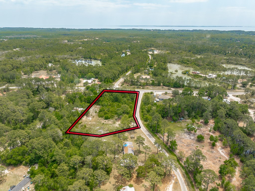 111 Carlton Millender Road Carrabelle, FL 32322 - Photo 3 of 11 Gallery Image 3