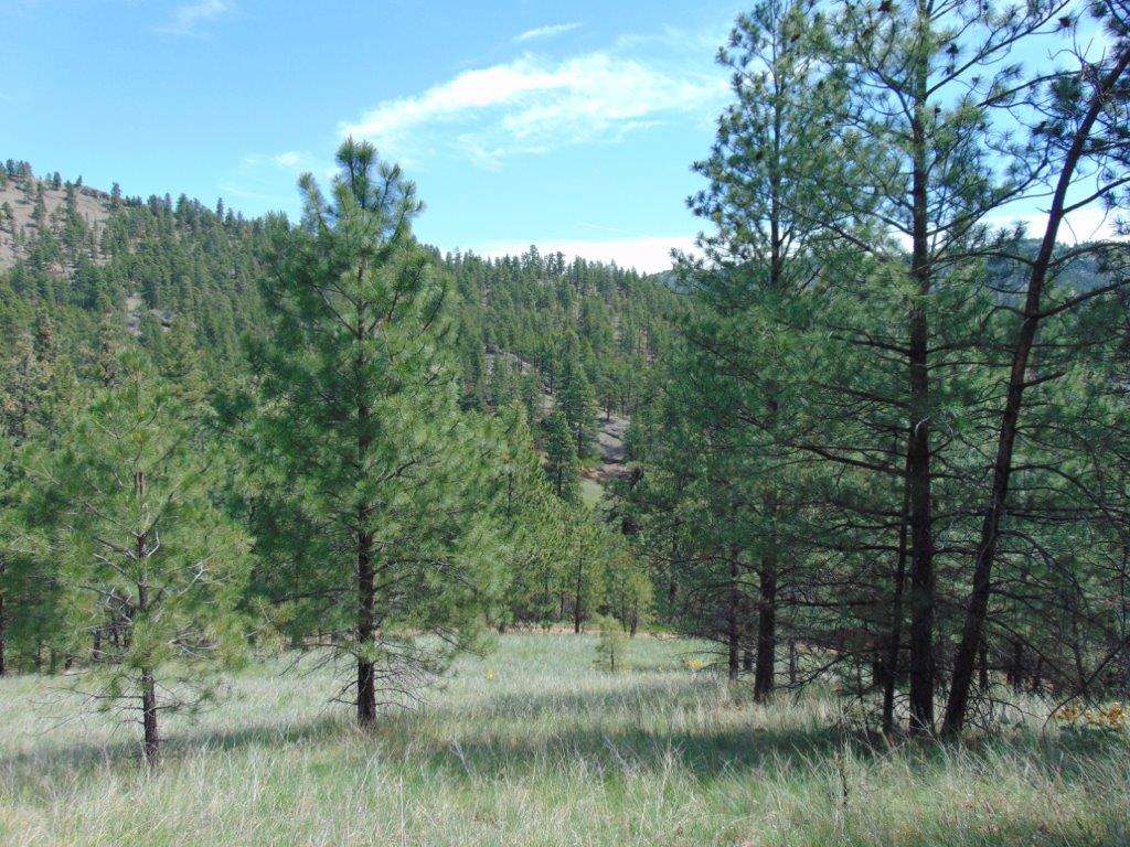 19 Lookout Lane Cascade, MT 59421 - Photo 14 of 30 Gallery Image 14
