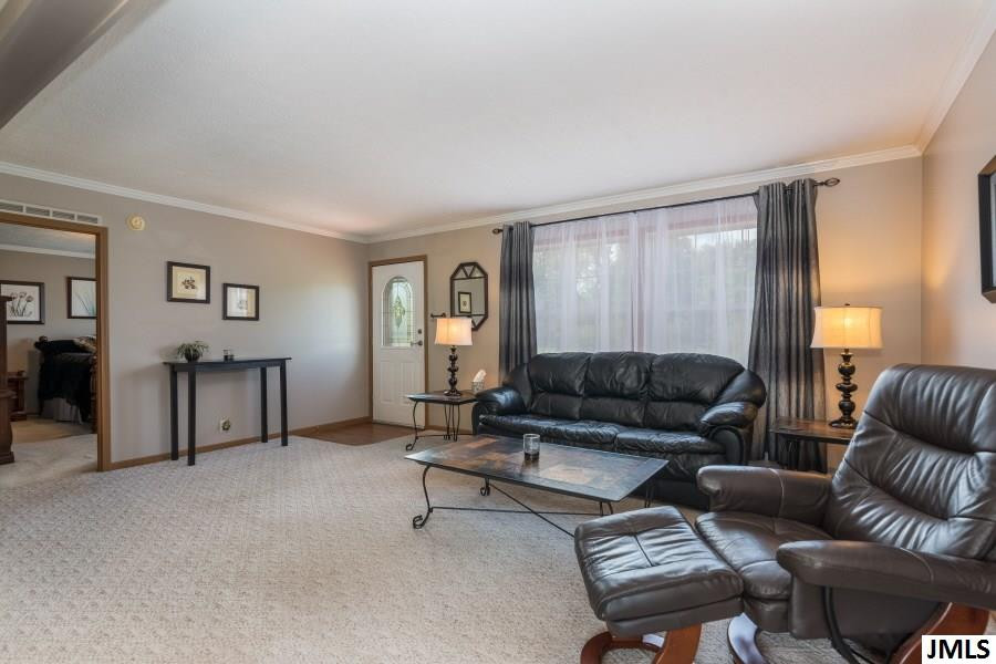 6801 Coon Hill Road Munith, MI 49259 - Photo 4 of 36 Photo 4
