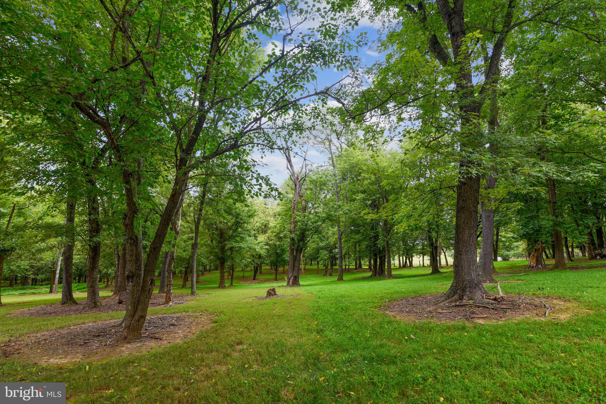 2964 Parshall Road Berryville, VA 22611 - Photo 56 of 62 Gallery Image 56
