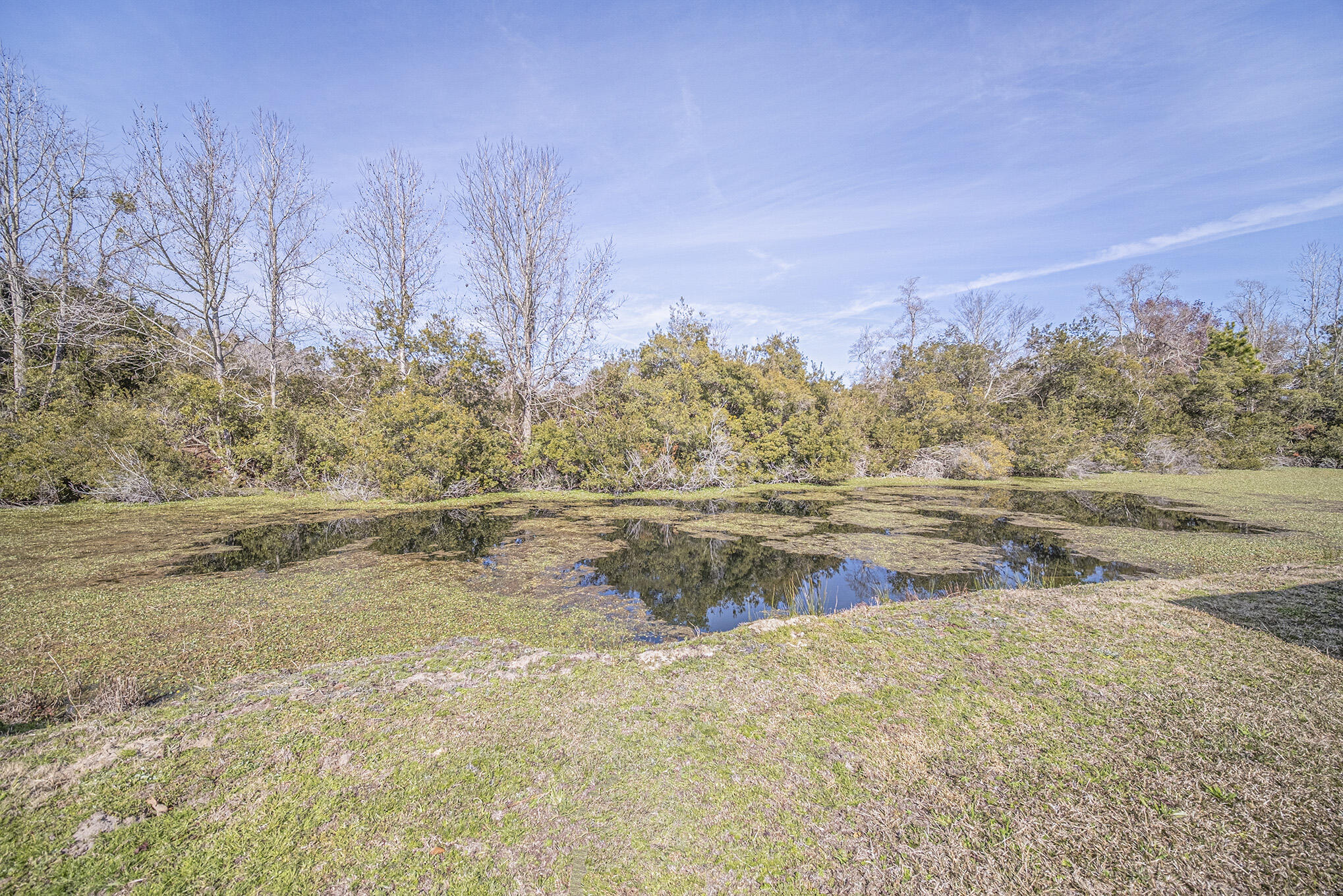 4267 Quigley Road Meggett, SC 29449 - Photo 36 of 37 Pond 1