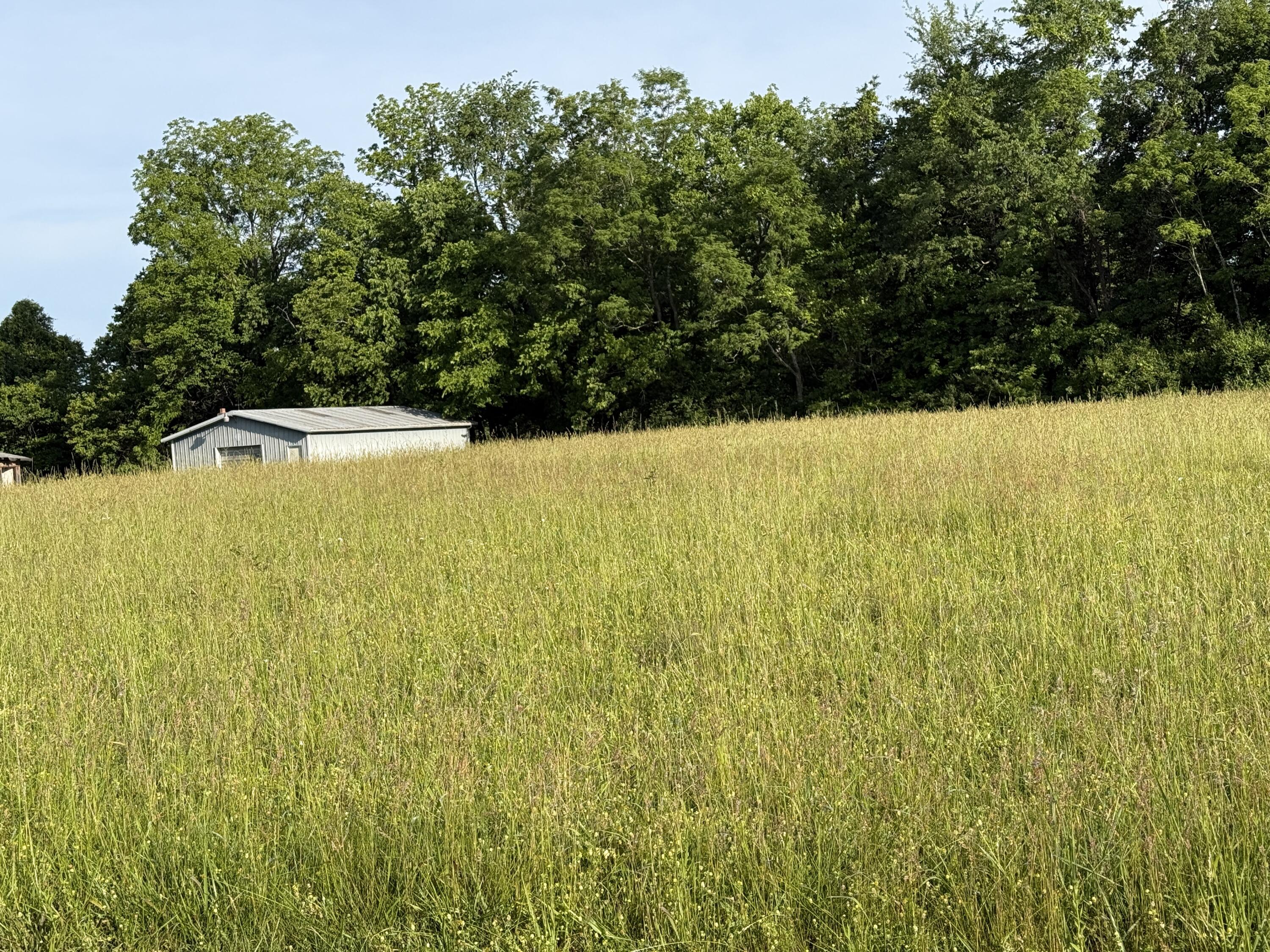 Tbd Lewis Ferry Road Frankfort, KY 40601 - Photo 9 of 16 IMG_0368