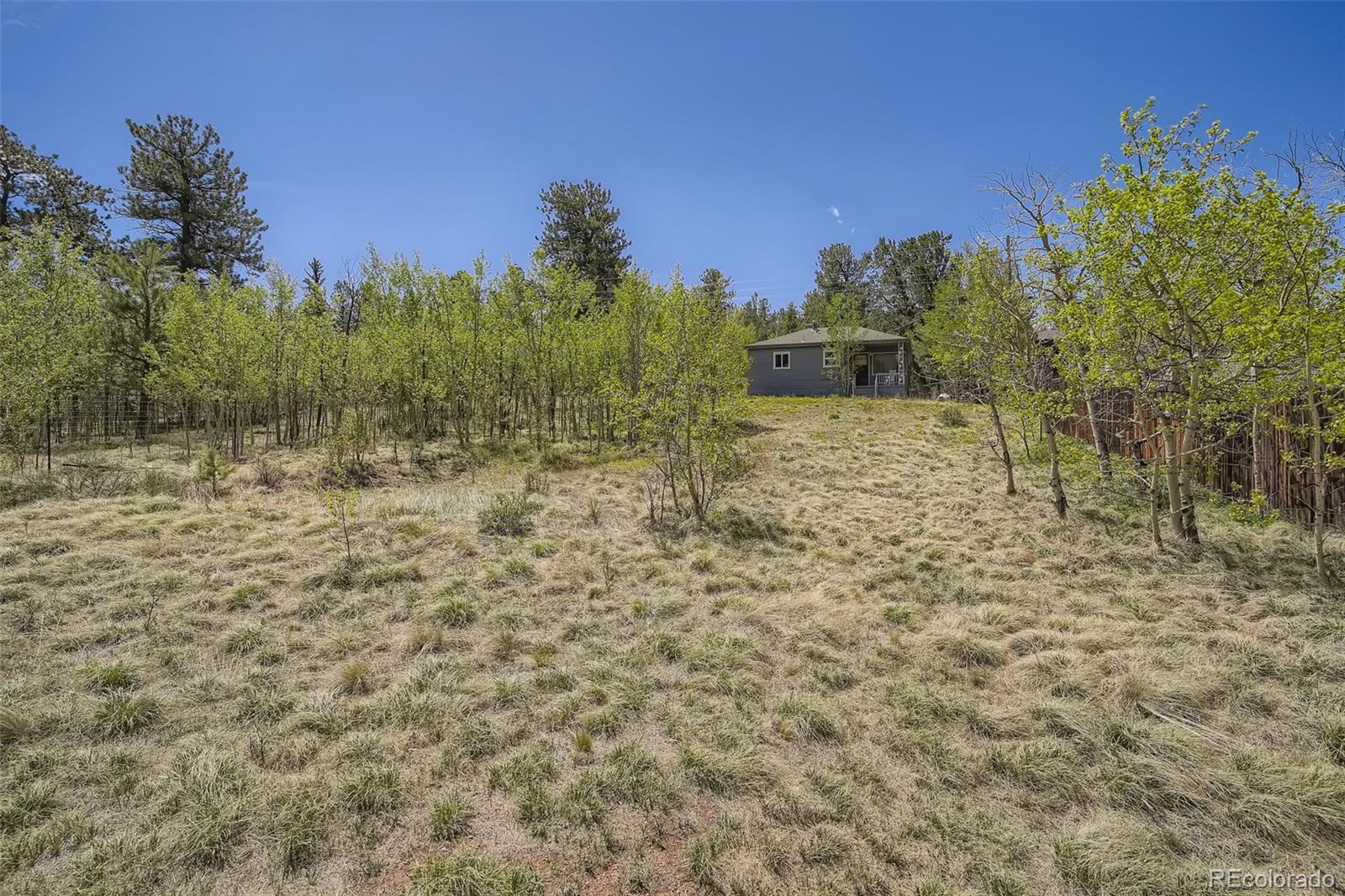 17 Bartimous Road Bailey, CO 80421 - Photo 22 of 28