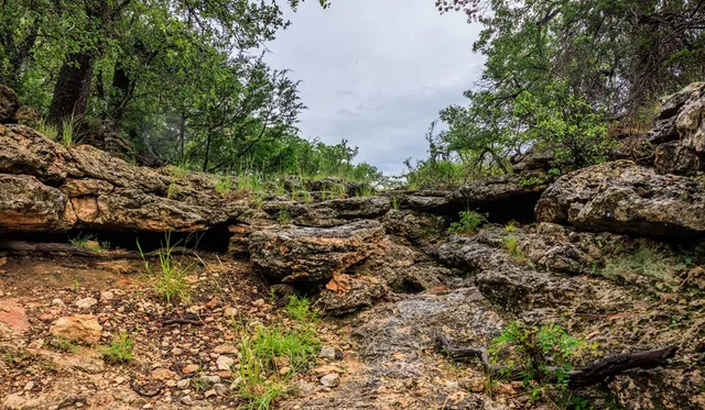 a view of a lake and yard