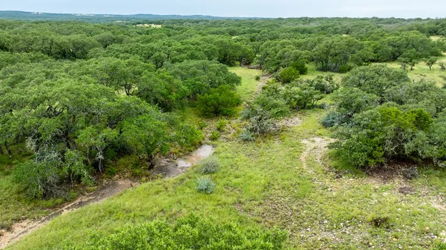 a view of a lush green forest with trees and some houses