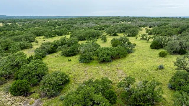 an aerial view of residential houses with outdoor space and trees