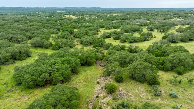 a view of a green field with lots of bushes