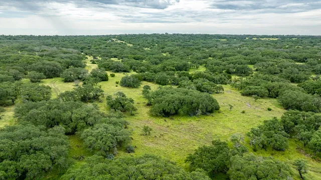 a view of a green field with lots of bushes