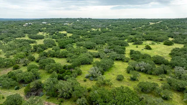 a view of a green field with lots of bushes