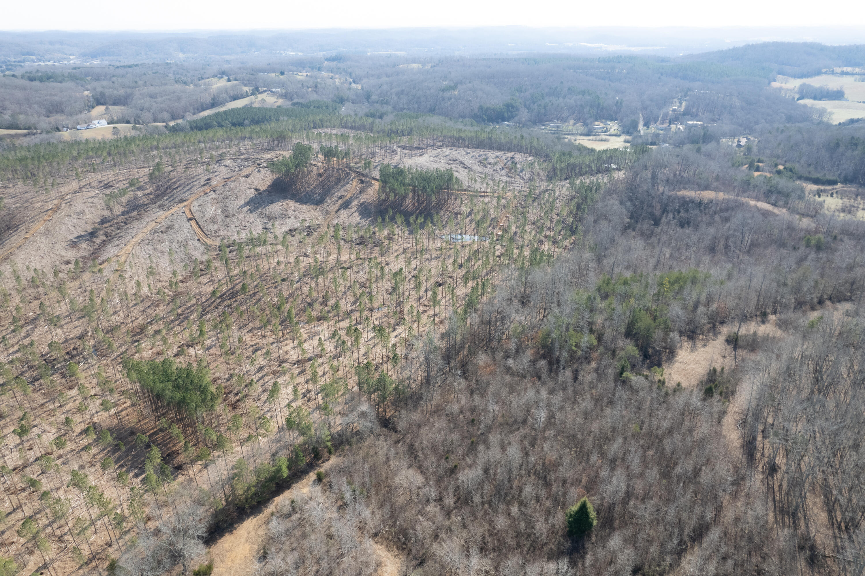3-4 Hobe Colbaugh Road Decatur, TN 37322 - Photo 12 of 31 Hobe Colbaugh Rd. Land-8