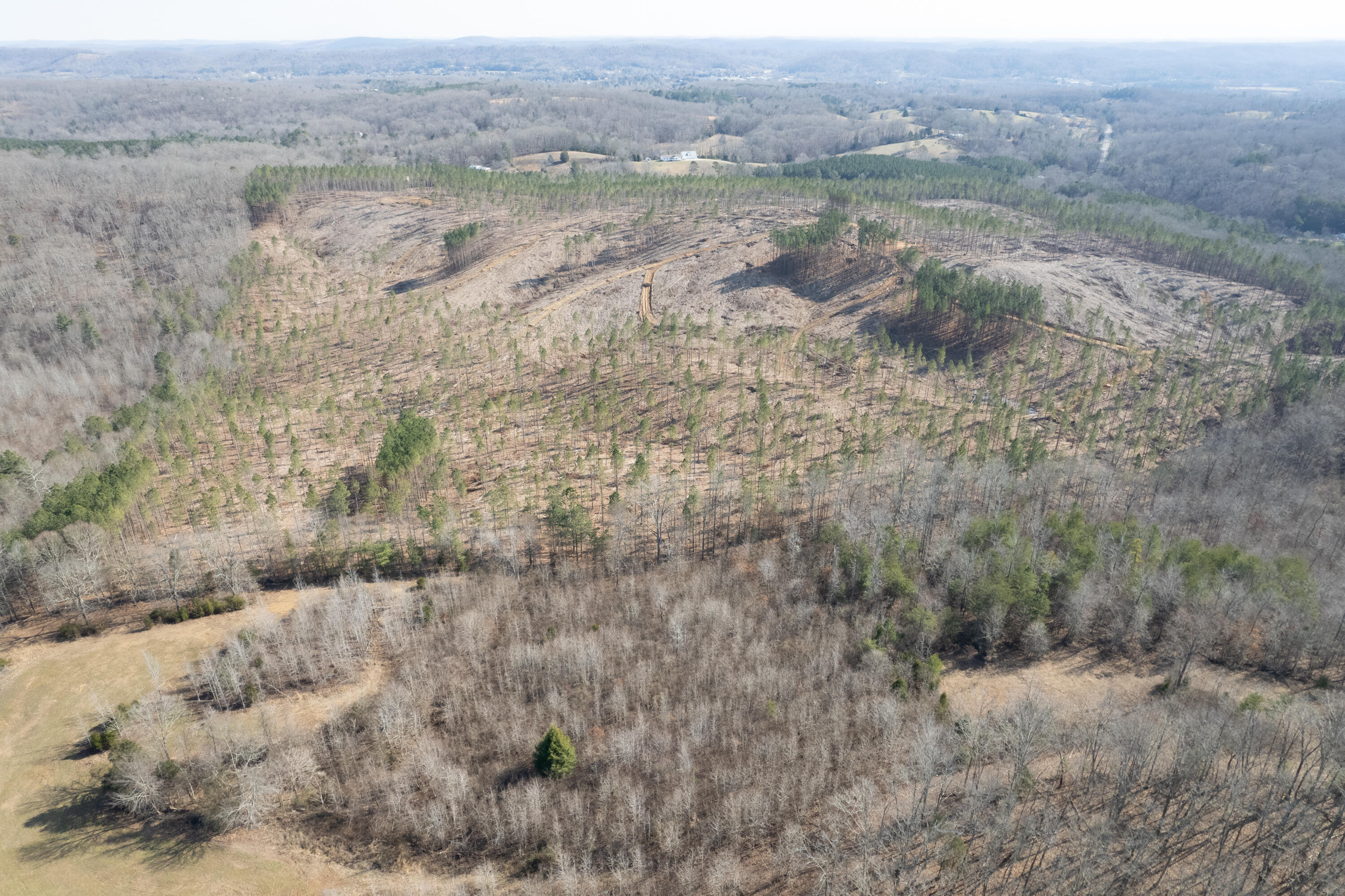 3-4 Hobe Colbaugh Road Decatur, TN 37322 - Photo 13 of 31 Hobe Colbaugh Rd. Land-9