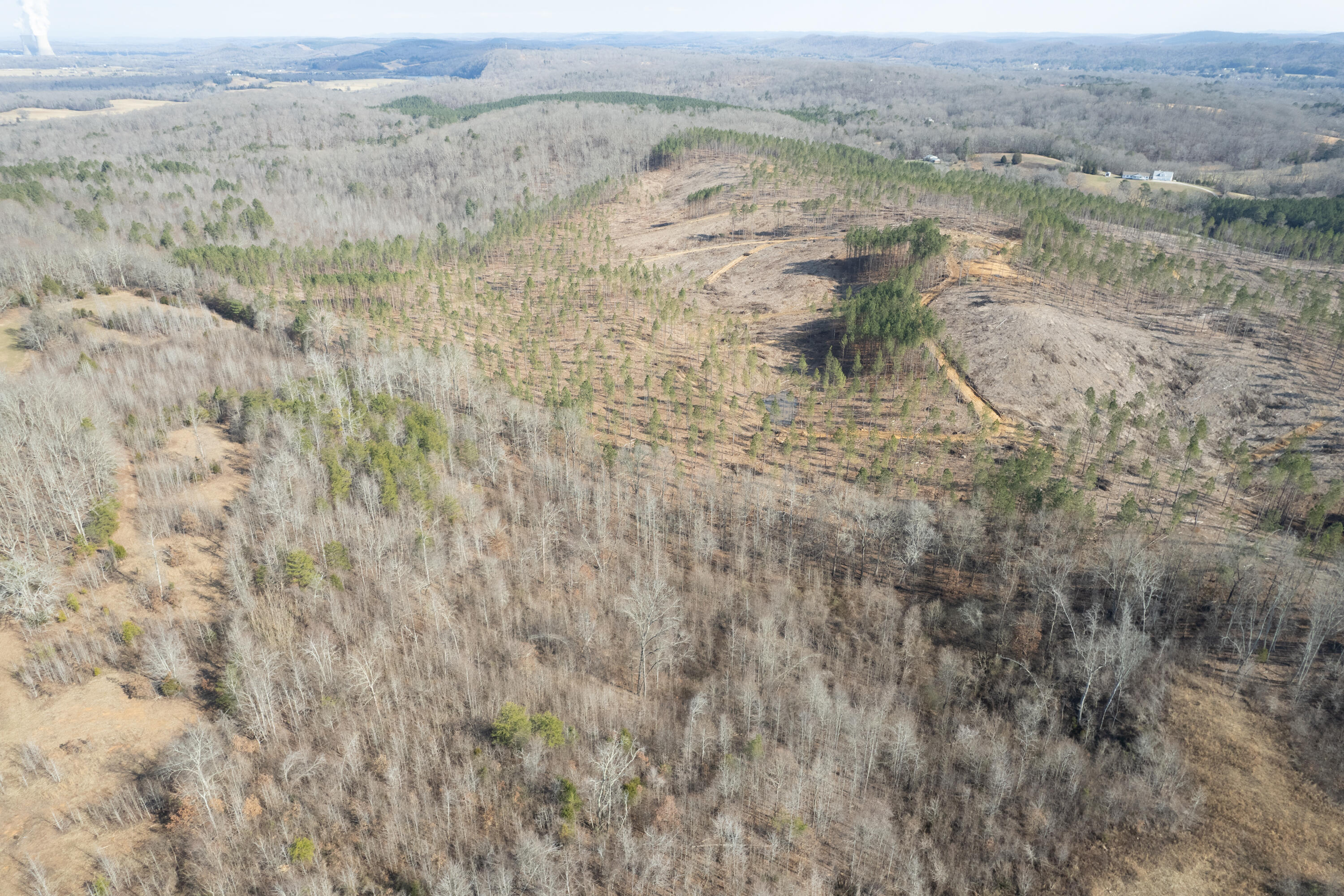 3-4 Hobe Colbaugh Road Decatur, TN 37322 - Photo 17 of 31 Hobe Colbaugh Rd. Land-13