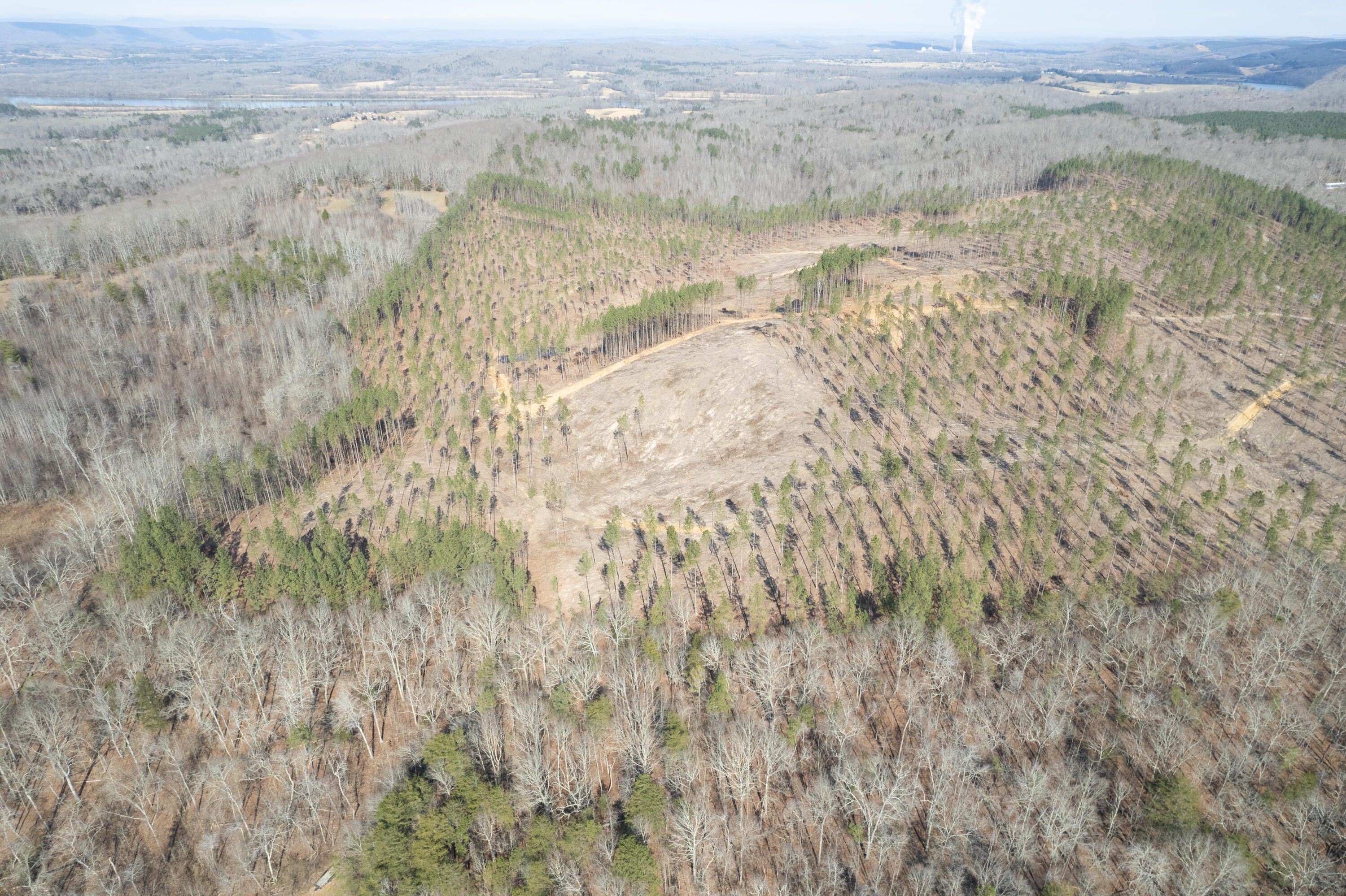 3-4 Hobe Colbaugh Road Decatur, TN 37322 - Photo 23 of 31 Hobe Colbaugh Rd. Land-19