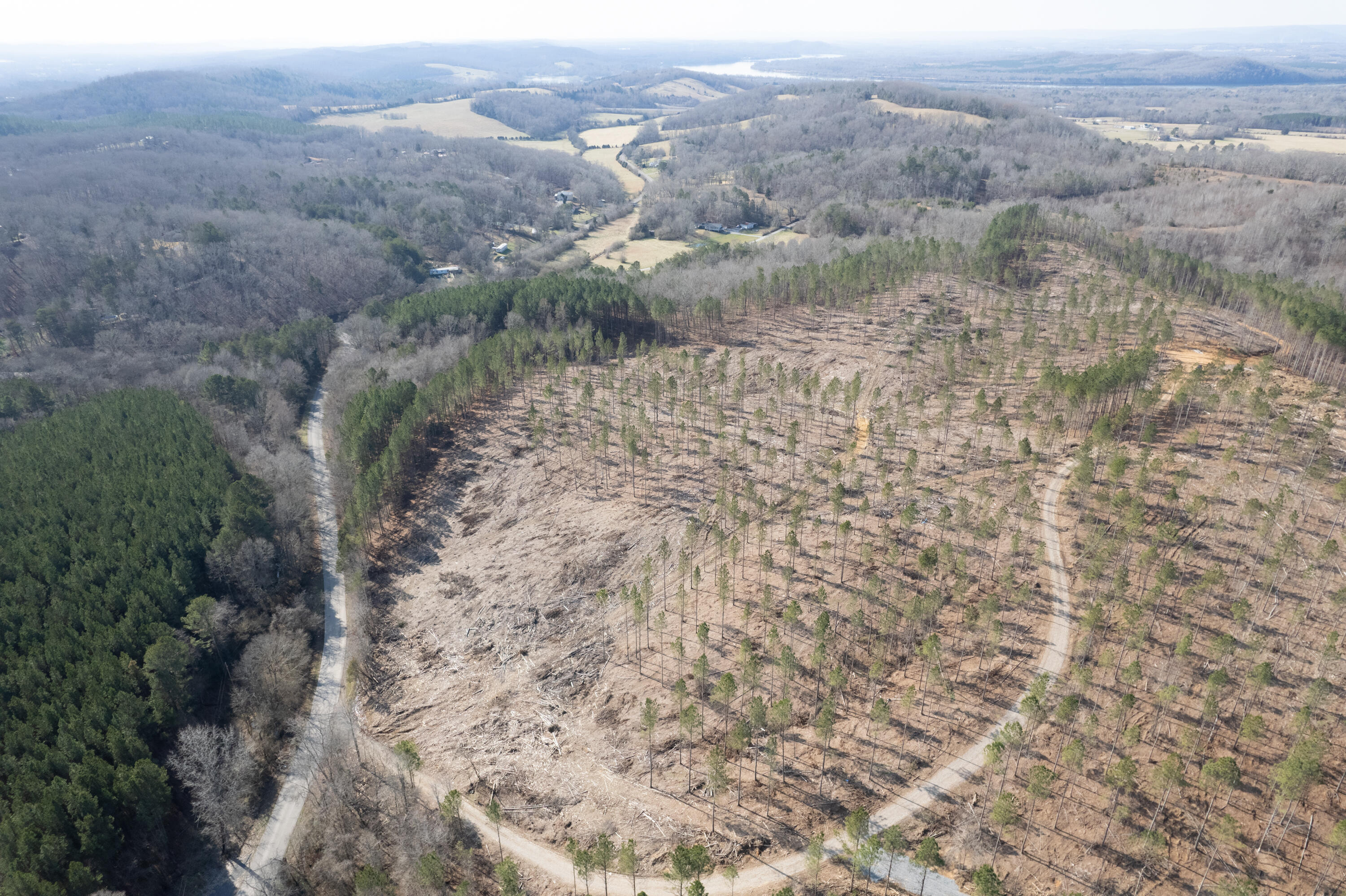 3-4 Hobe Colbaugh Road Decatur, TN 37322 - Photo 8 of 31 Hobe Colbaugh Rd. Land-4