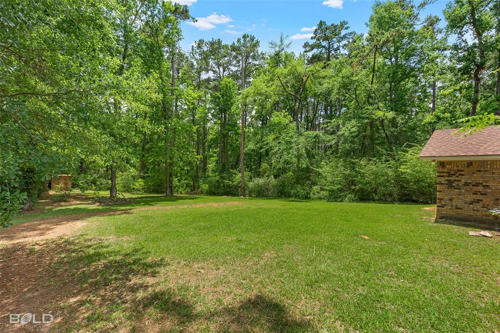 316 Hope Street Mansfield, LA 71052 - Photo 18 of 18