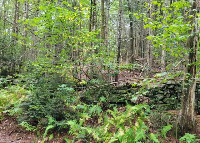 $85,000 | 0 Chaos Turnpike, Cavendish, VT 05142