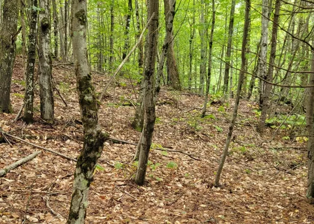 $85,000 | 0 Chaos Turnpike, Cavendish, VT 05142