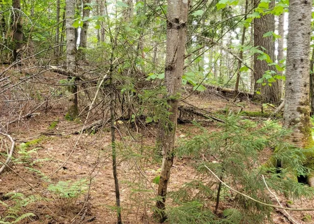 $85,000 | 0 Chaos Turnpike, Cavendish, VT 05142