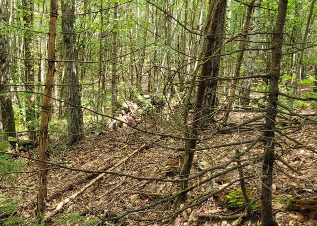 $85,000 | 0 Chaos Turnpike, Cavendish, VT 05142