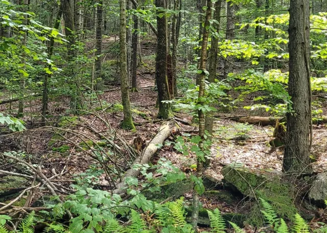 $85,000 | 0 Chaos Turnpike, Cavendish, VT 05142