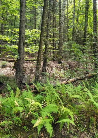 $85,000 | 0 Chaos Turnpike, Cavendish, VT 05142