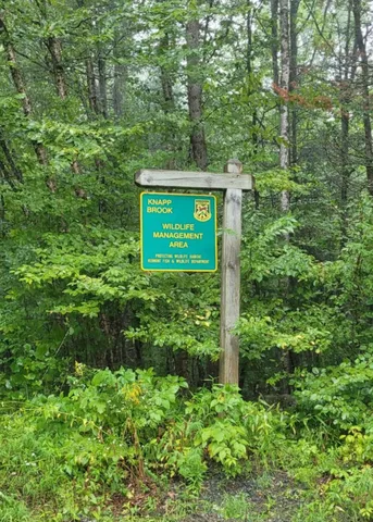 $85,000 | 0 Chaos Turnpike, Cavendish, VT 05142