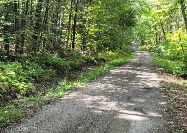 $85,000 | 0 Chaos Turnpike, Cavendish, VT 05142