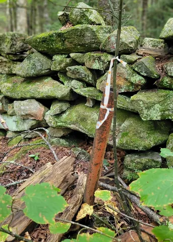 $85,000 | 0 Chaos Turnpike, Cavendish, VT 05142