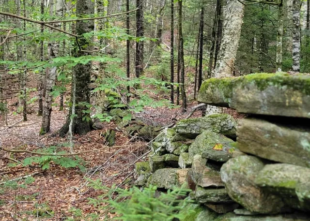 $85,000 | 0 Chaos Turnpike, Cavendish, VT 05142