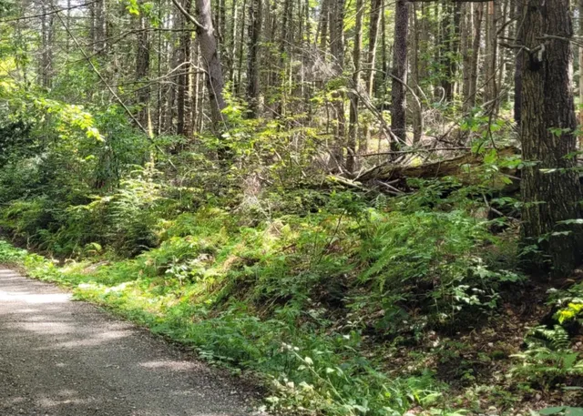 $85,000 | 0 Chaos Turnpike, Cavendish, VT 05142