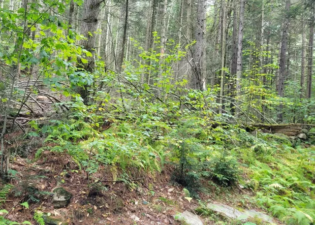 $85,000 | 0 Chaos Turnpike, Cavendish, VT 05142