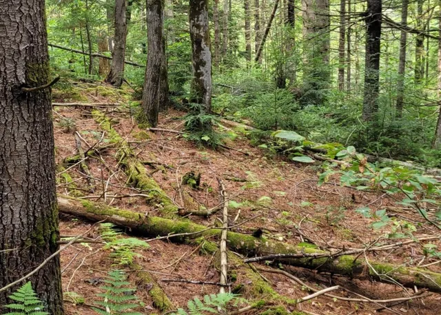 $85,000 | 0 Chaos Turnpike, Cavendish, VT 05142