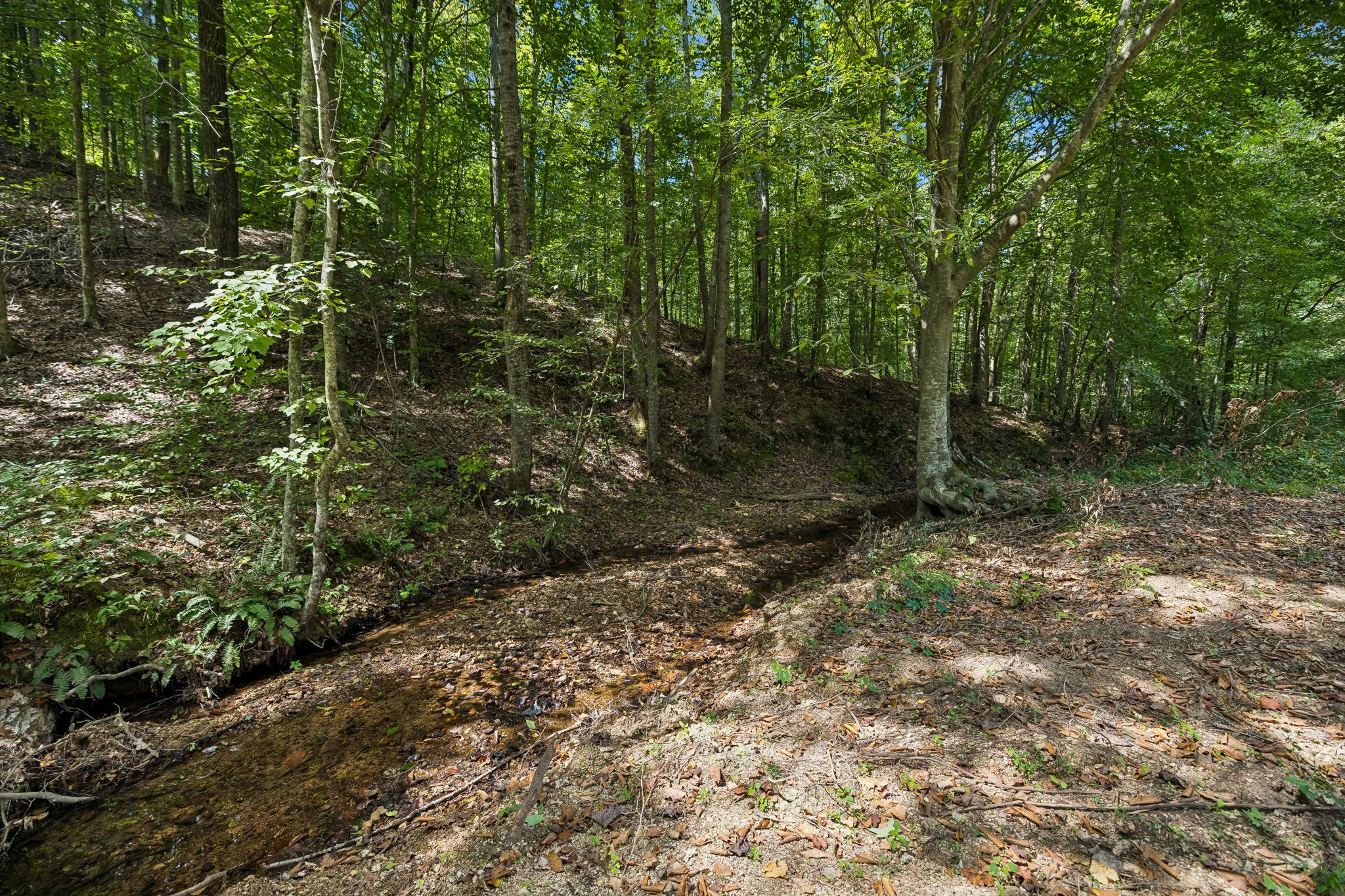 1252 Kelly Road Centerville, TN 37033 - Photo 27 of 41 Gallery Image 27