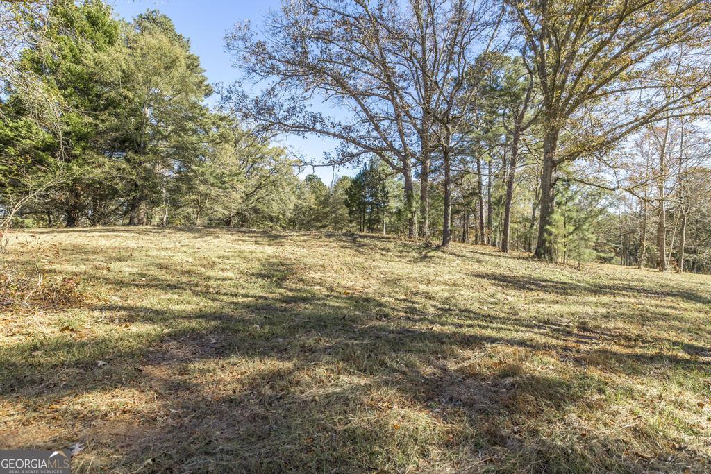 1701 Blue Springs Road Buckhead, GA 30625 - Photo 11 of 24 a view of a yard with large trees