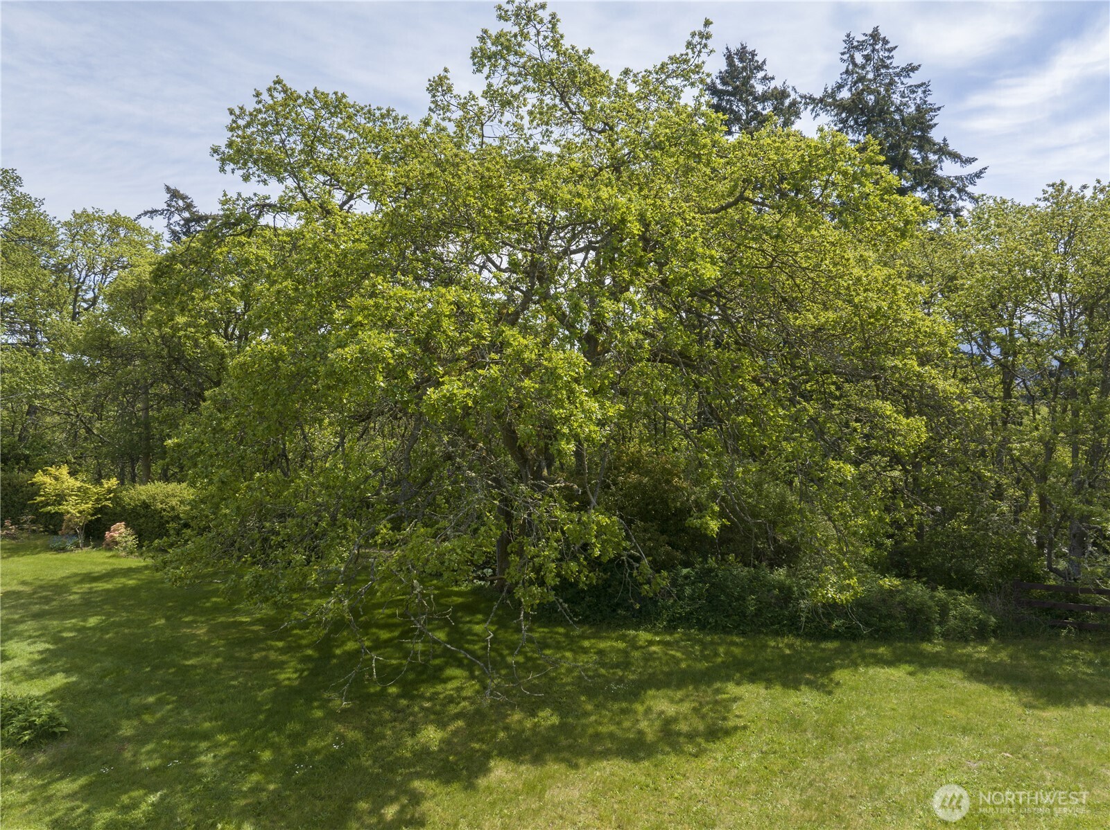 83 Medsker Road Sequim, WA 98382 - Photo 14 of 40 Gallery Image 14