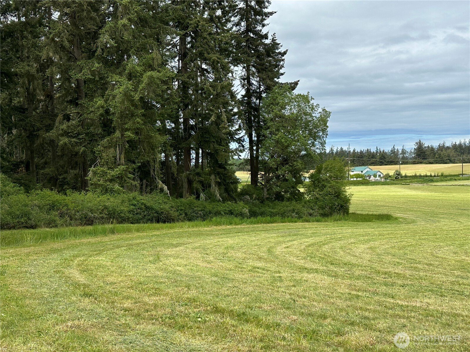 83 Medsker Road Sequim, WA 98382 - Photo 26 of 40 Gallery Image 26