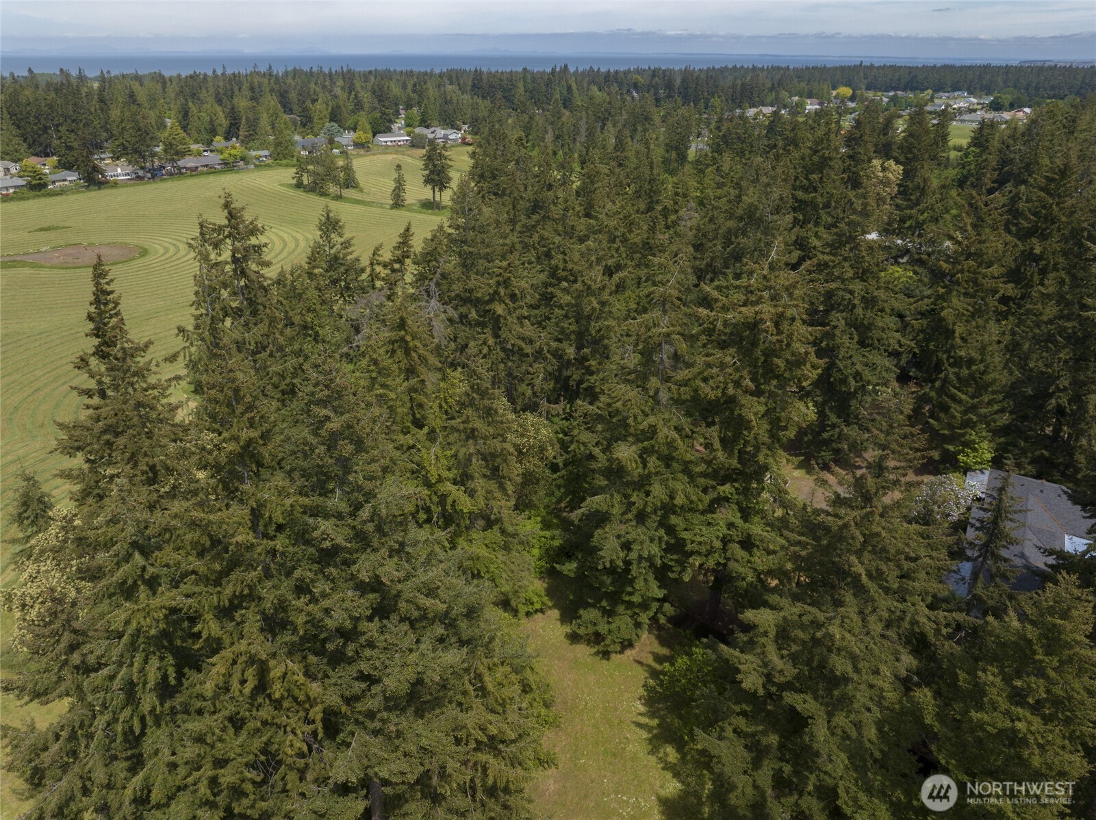 83 Medsker Road Sequim, WA 98382 - Photo 30 of 40 Gallery Image 30