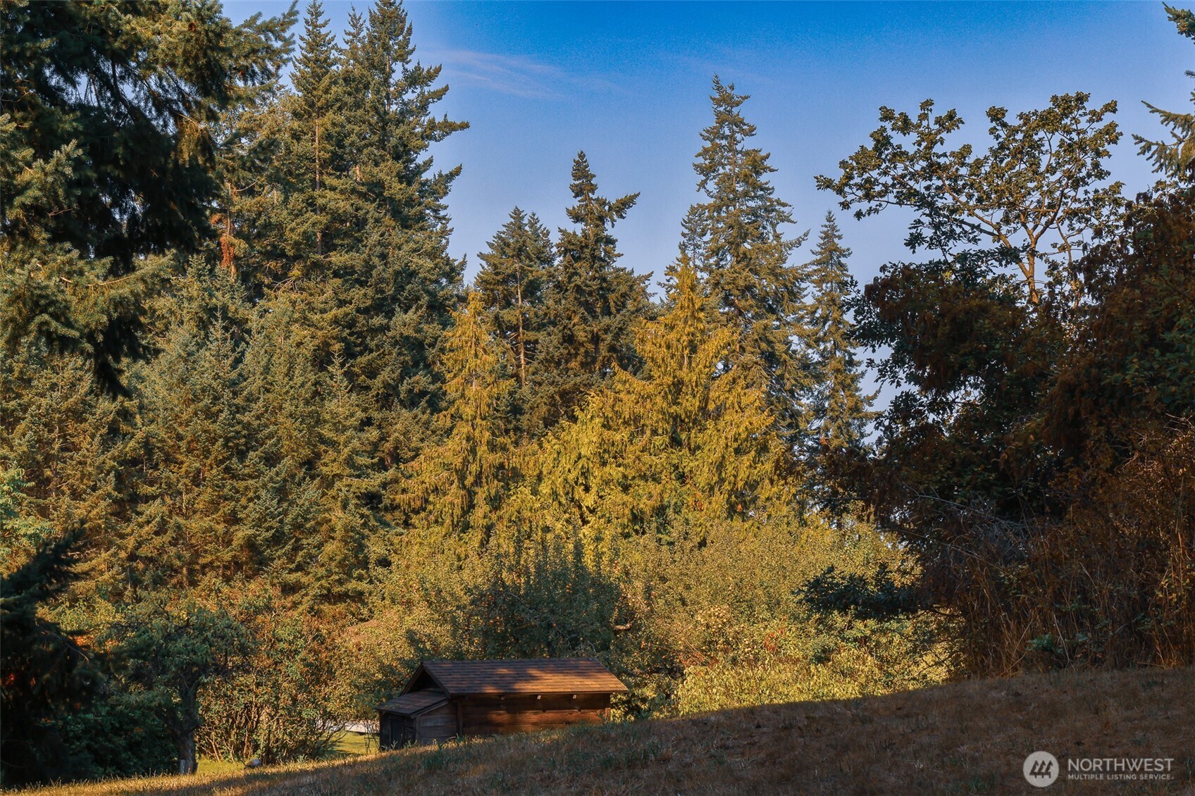 83 Medsker Road Sequim, WA 98382 - Photo 36 of 40 Gallery Image 36
