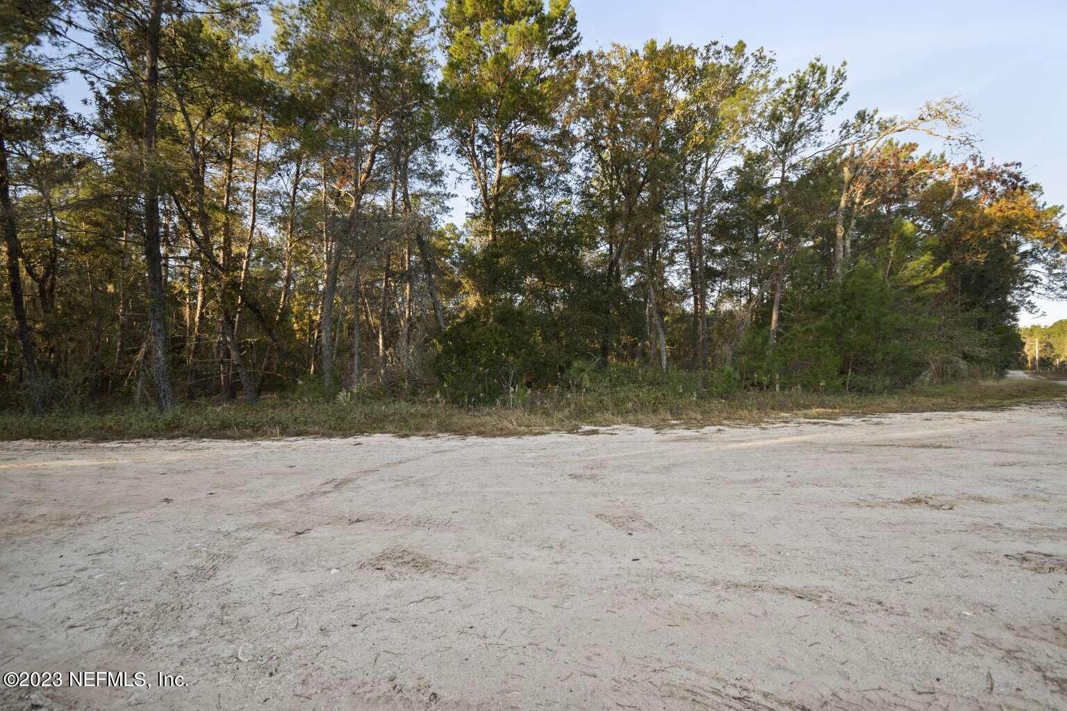 0 South Bellamy Road Florahome, FL 32140 - Photo 5 of 6 Vasilevski.5
