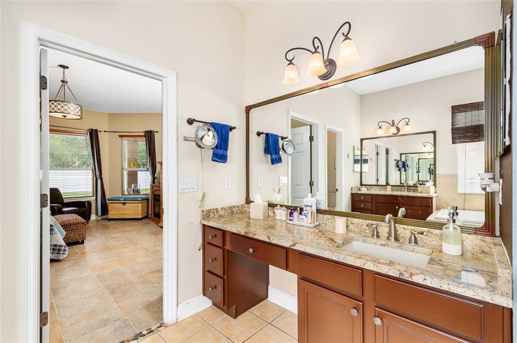 11845 Newberry Grove Loop Riverview, FL 33579 - Photo 26 of 47 a en suite bathroom with a granite countertop sink and a mirror