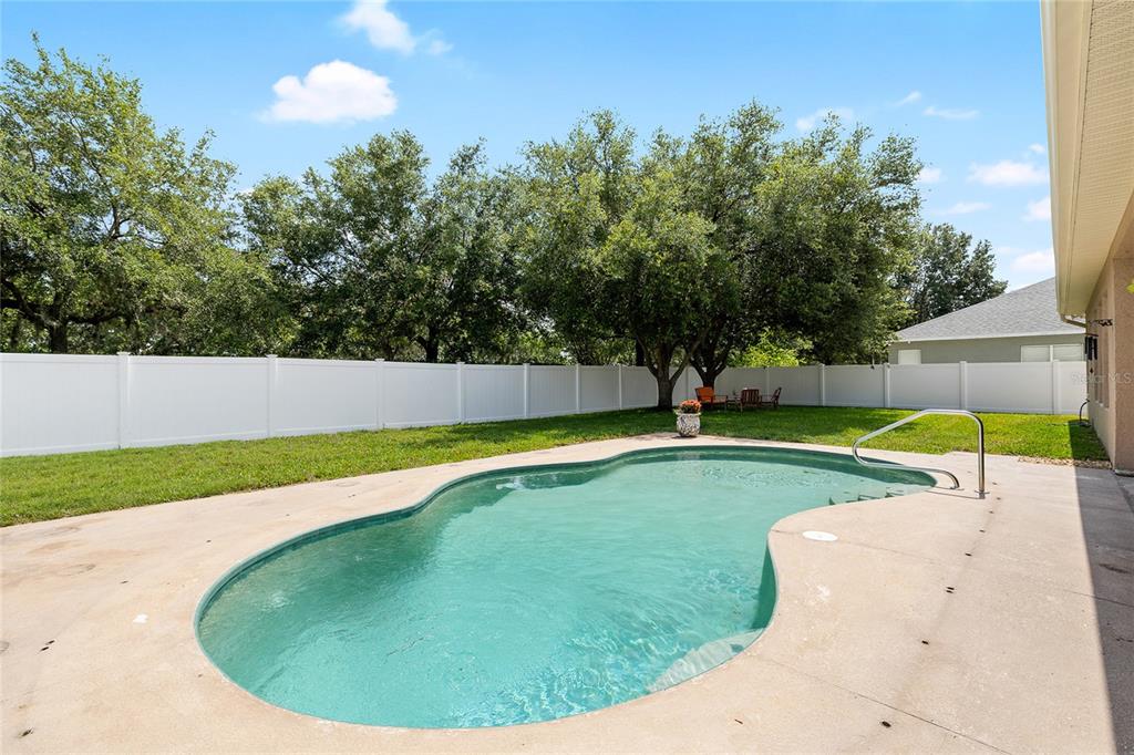 11845 Newberry Grove Loop Riverview, FL 33579 - Photo 34 of 47 a view of a swimming pool with a backyard