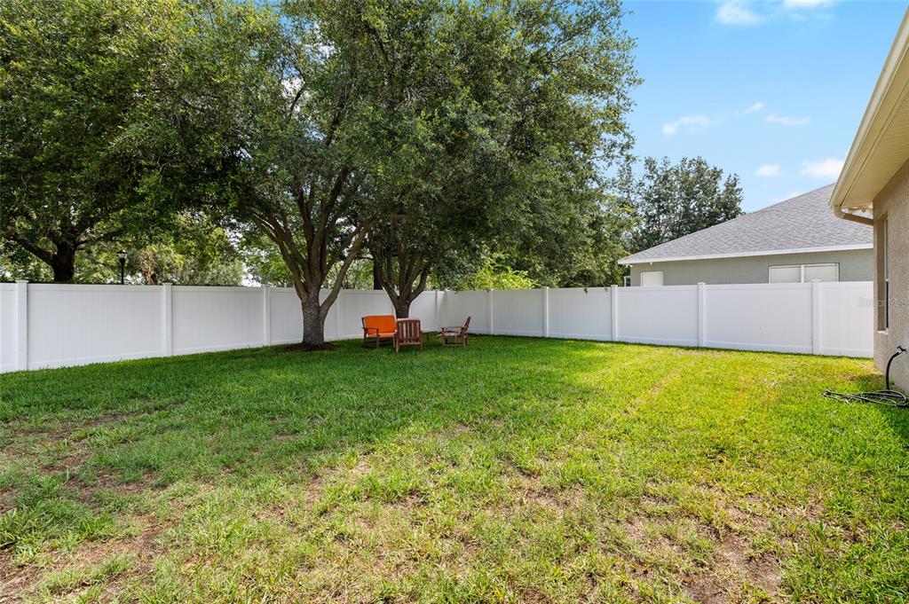 11845 Newberry Grove Loop Riverview, FL 33579 - Photo 37 of 47 a view of backyard with green space