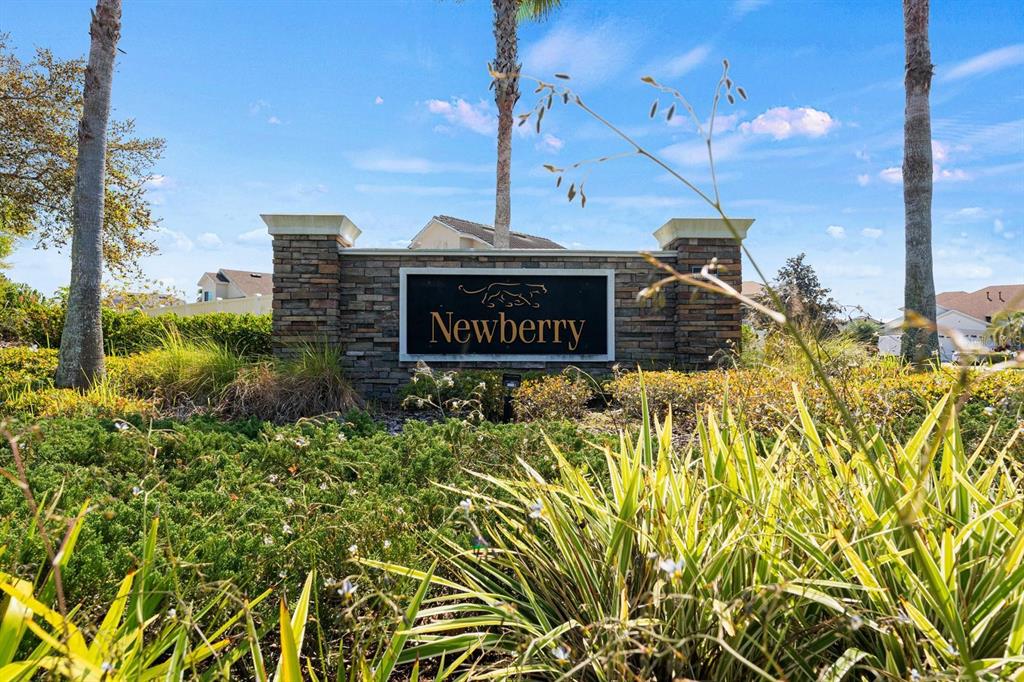 11845 Newberry Grove Loop Riverview, FL 33579 - Photo 44 of 47