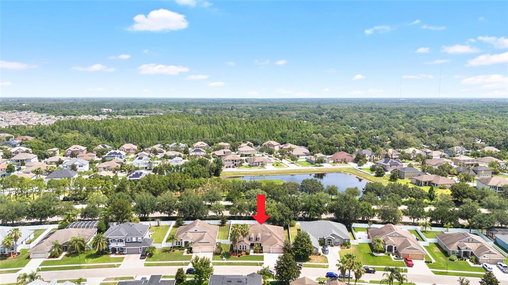 11845 Newberry Grove Loop Riverview, FL 33579 - Photo 45 of 47 a view of city and mountain