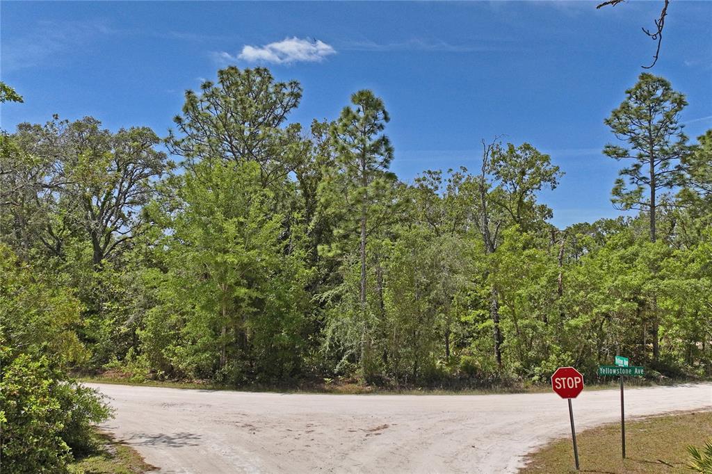 0 Yellowstone Avenue Weeki Wachee, FL 34614 - Photo 14 of 18 a picture of a yard